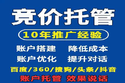 SEM公司成功案例分享：搜索引擎优化的力量
